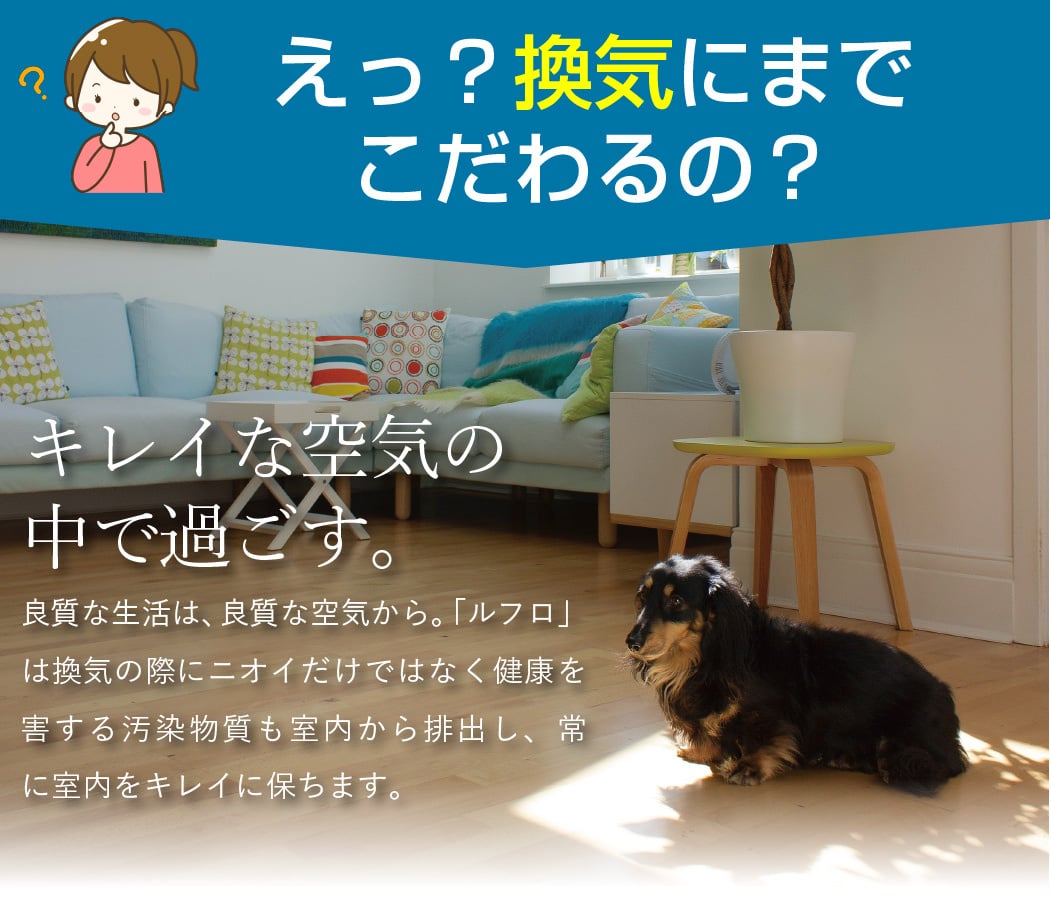 ルフロ400の概要